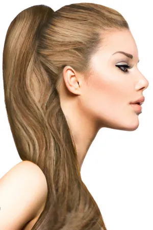 18" Clip In Hair Extensions: No. P6-27 Chestnut Brown/ Blonde