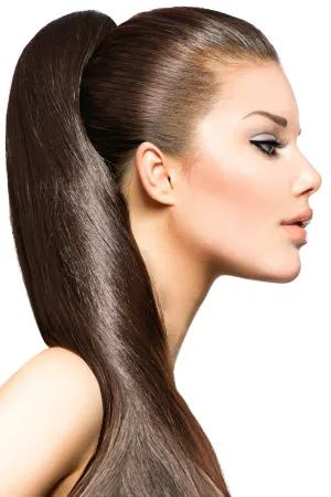 21" Clip In Hair Extensions: No 6 Chestnut Brown