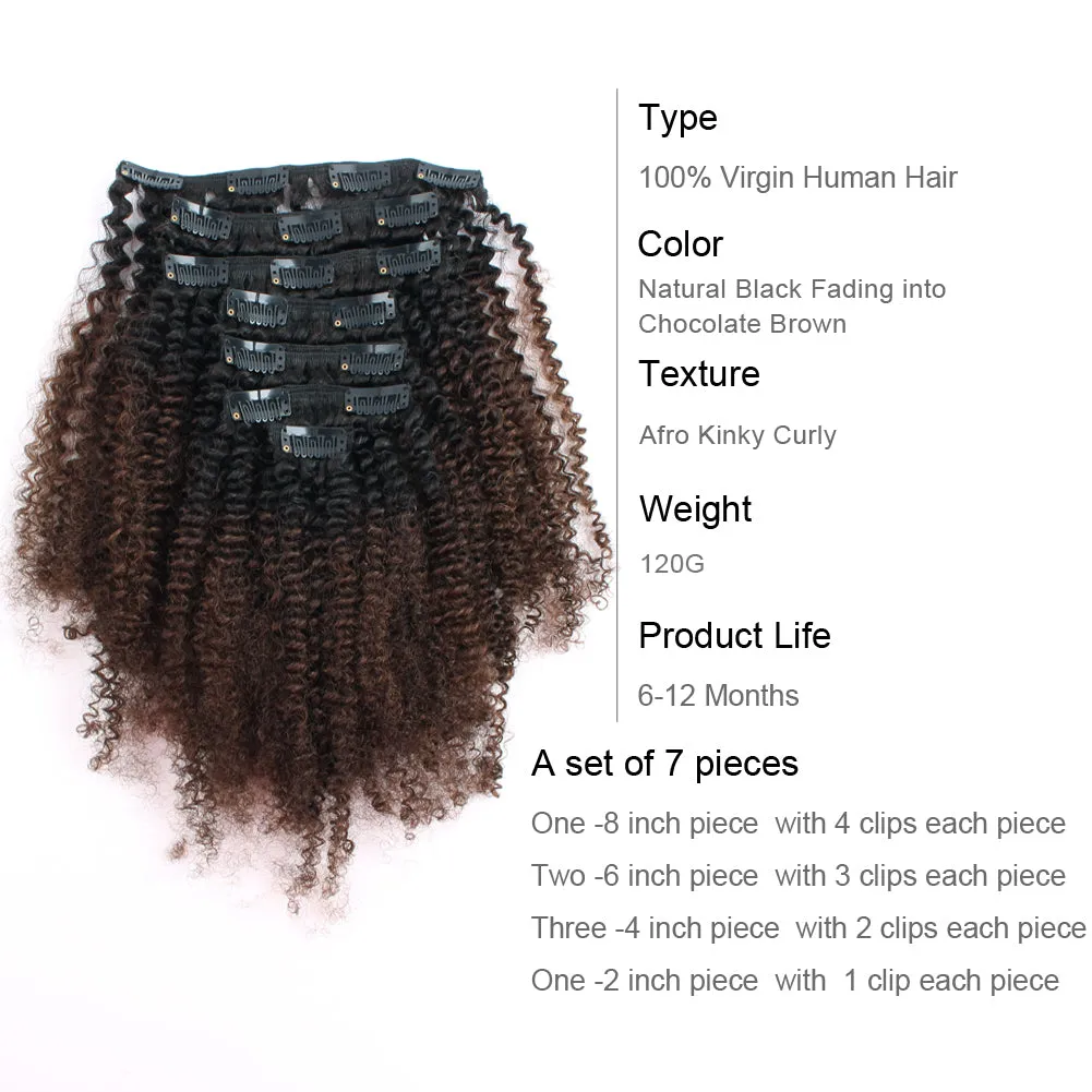 Afro Kinky Curly Ombre Natural Black to Chocolate Brown 16 Inch