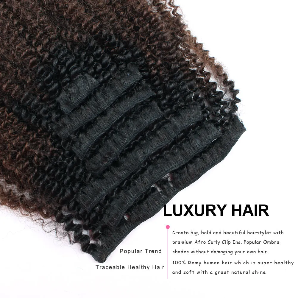 Afro Kinky Curly Ombre Natural Black to Chocolate Brown 16 Inch