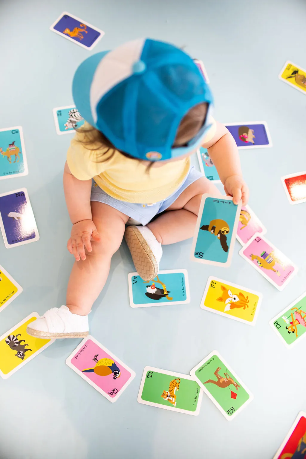 Animal Alphabet Flashcards