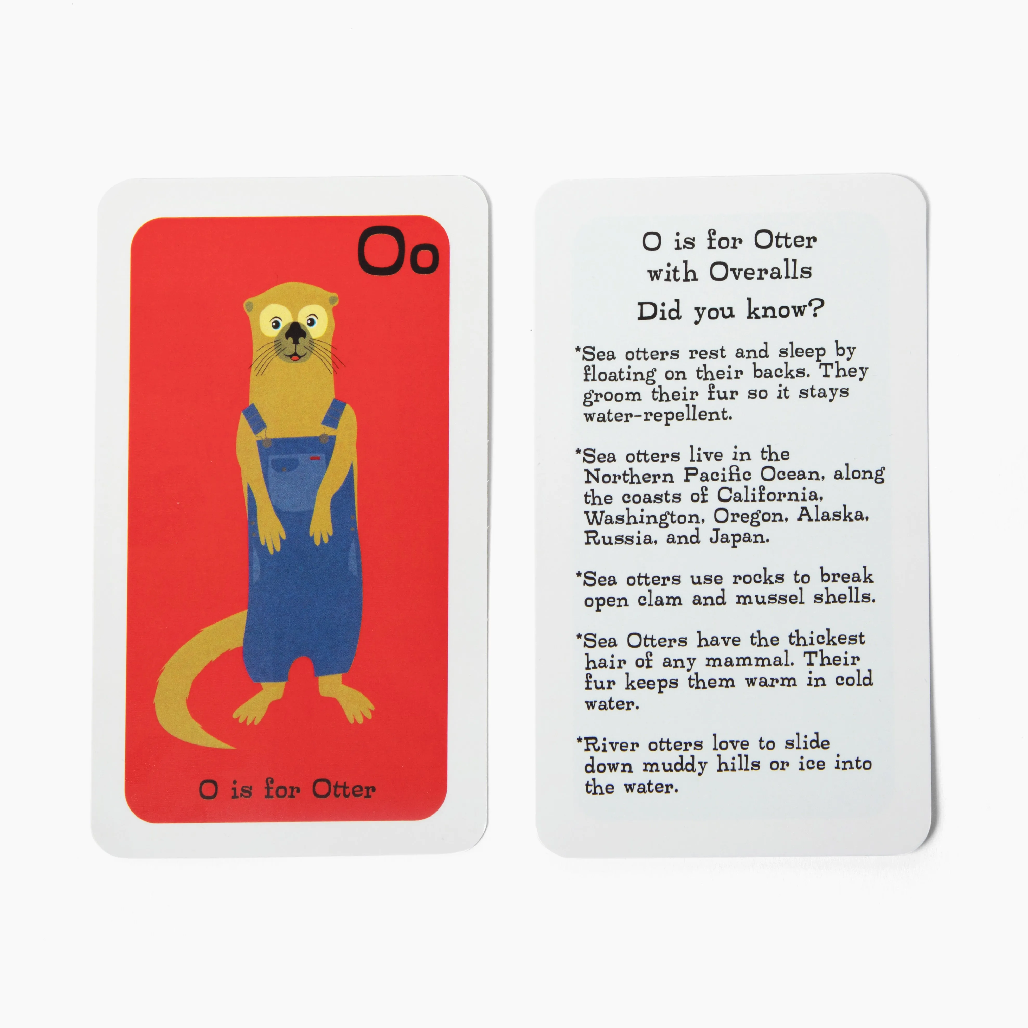 Animal Alphabet Flashcards