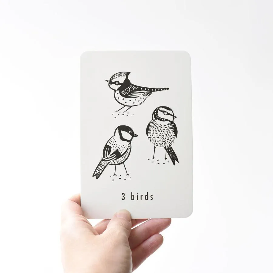 Animal Flash Cards