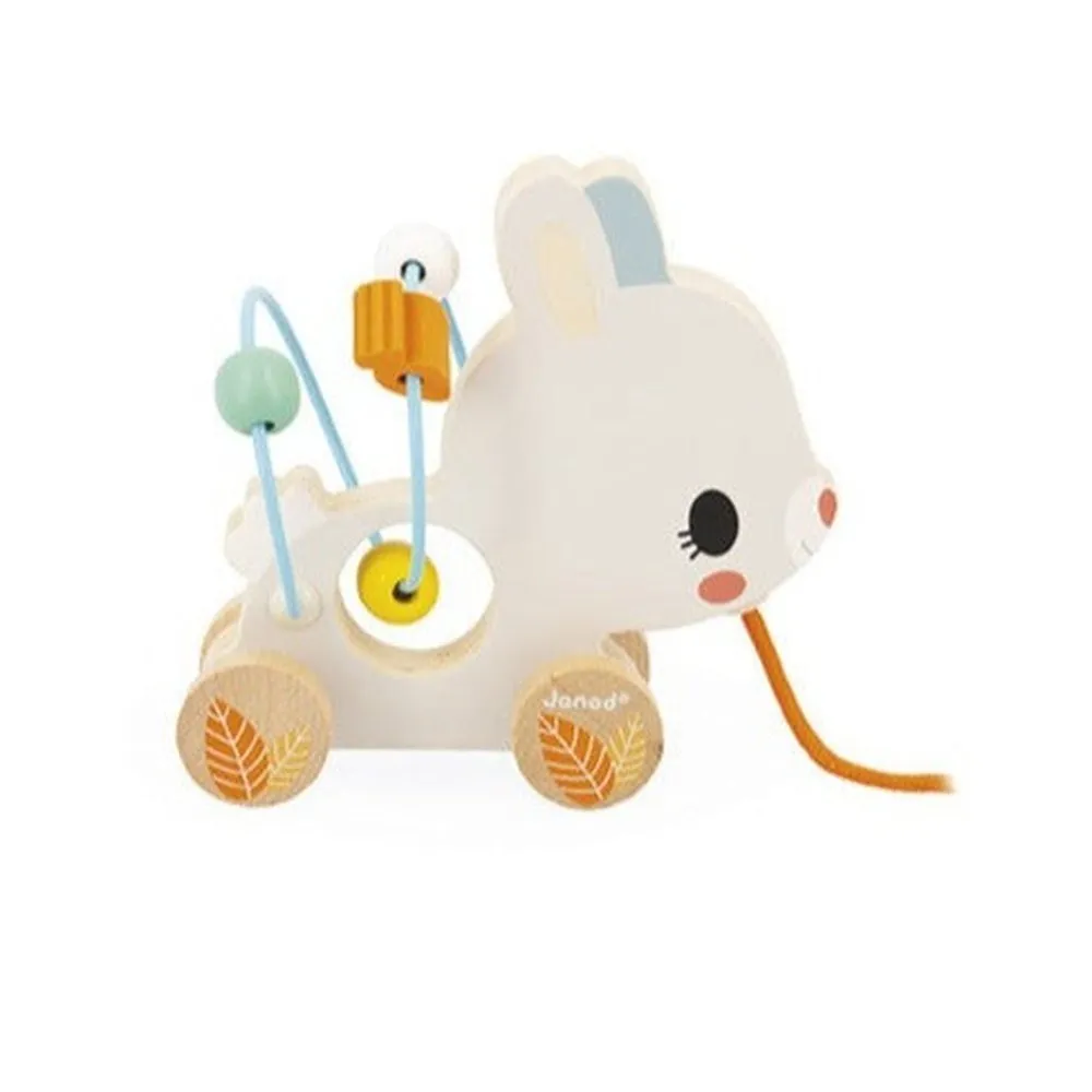 Baby Animal Looping Toy