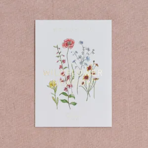 Bee Friendly Wildflower Meadow Seeds