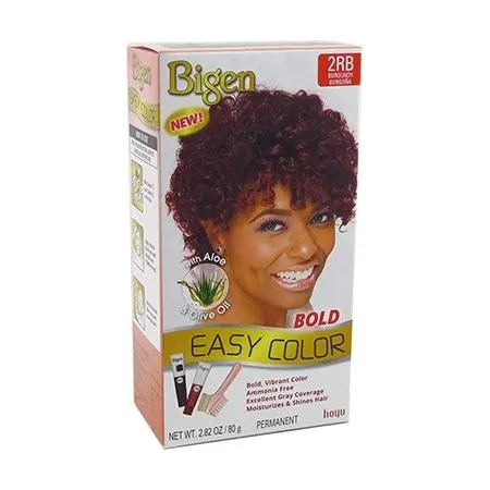 Bigen Easy Color Hair Dye 2.82 Oz