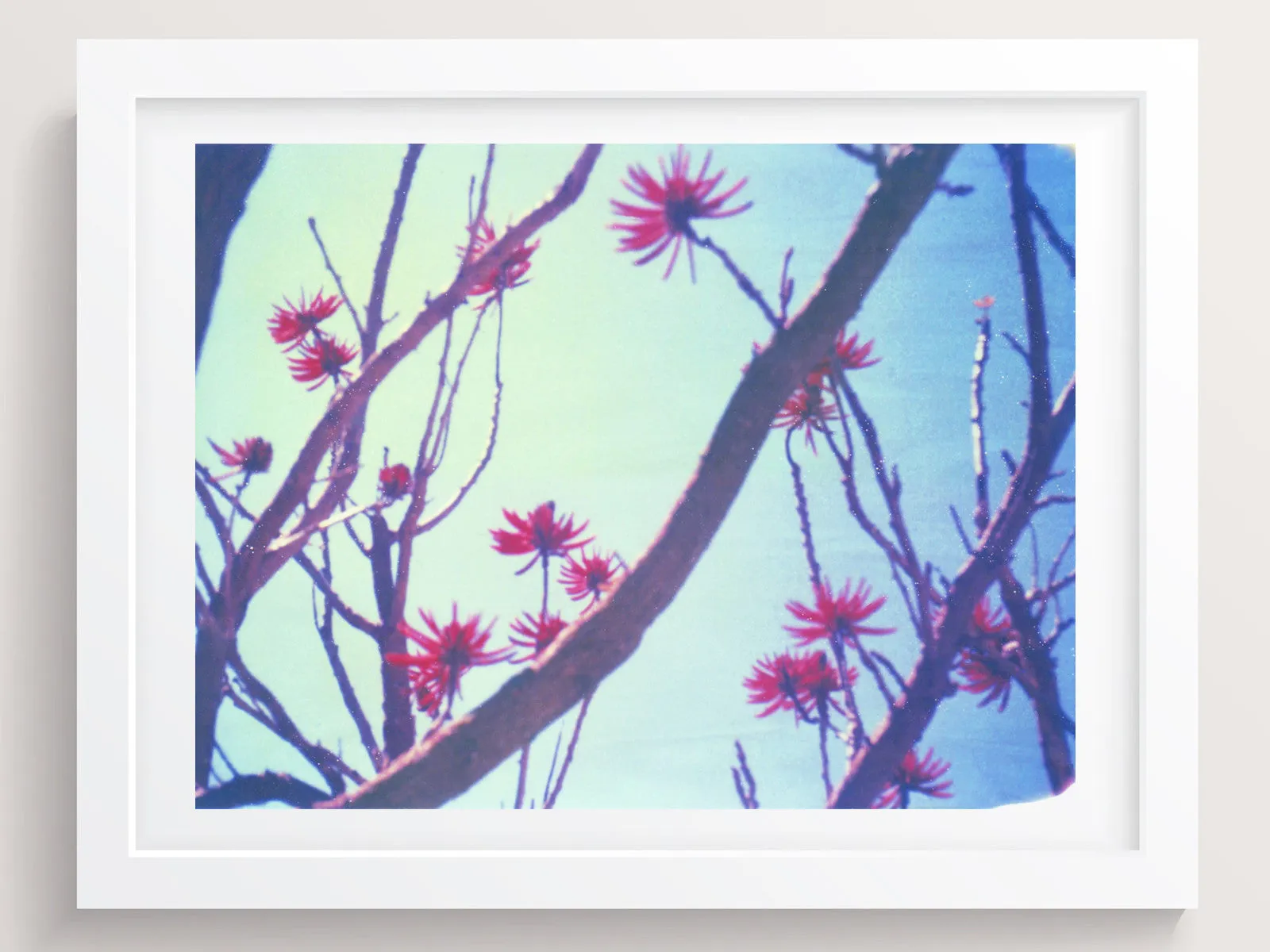 Blue, Red   Branches