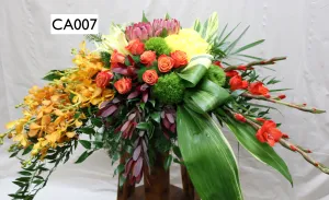 CA007