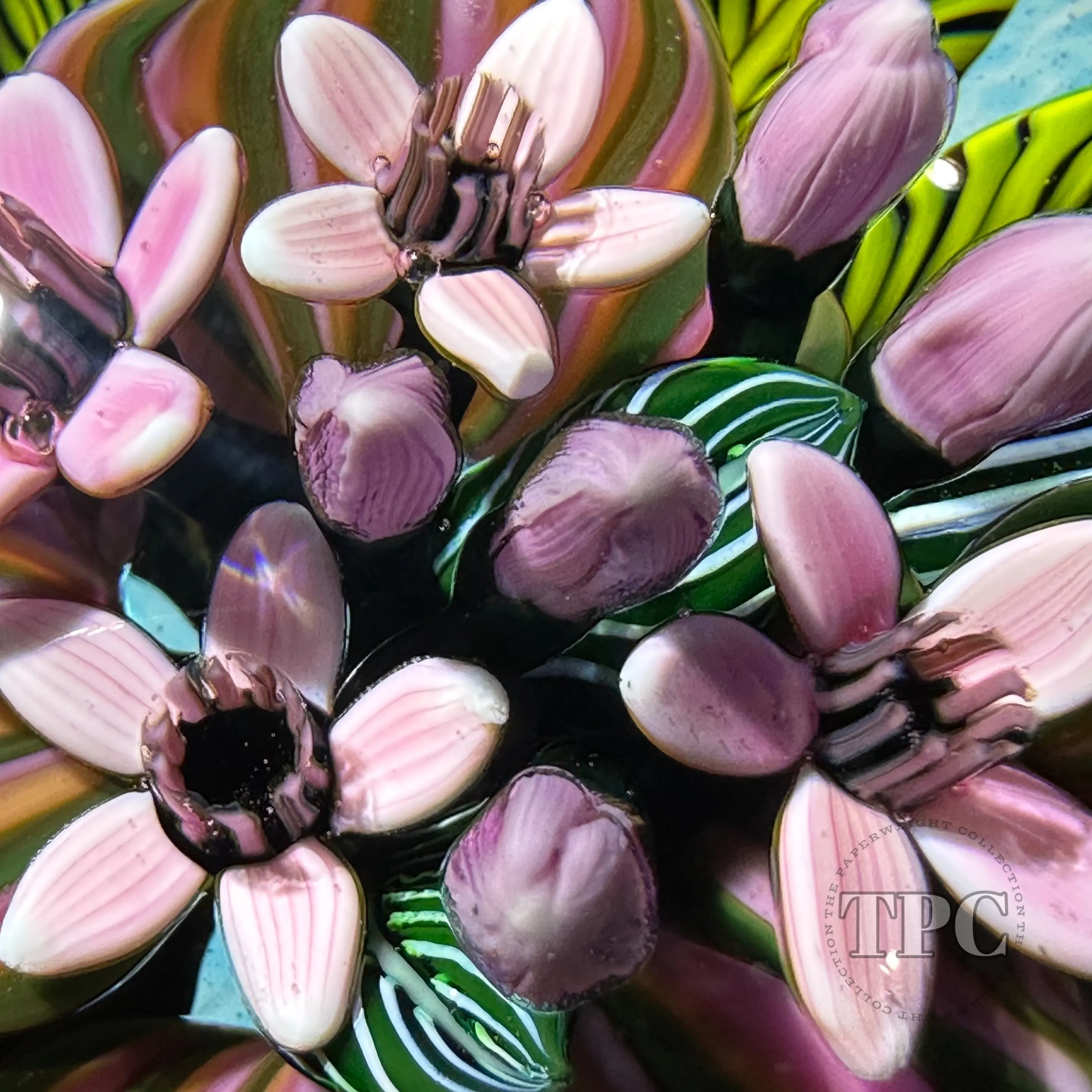 Cathy Richardson 2014 Glass Art Paperweight Flamework Mauve Tropical Flowers from the Brazilian Series 5 of 8
