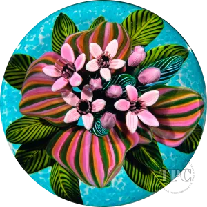 Cathy Richardson 2014 Glass Art Paperweight Flamework Mauve Tropical Flowers from the Brazilian Series 5 of 8