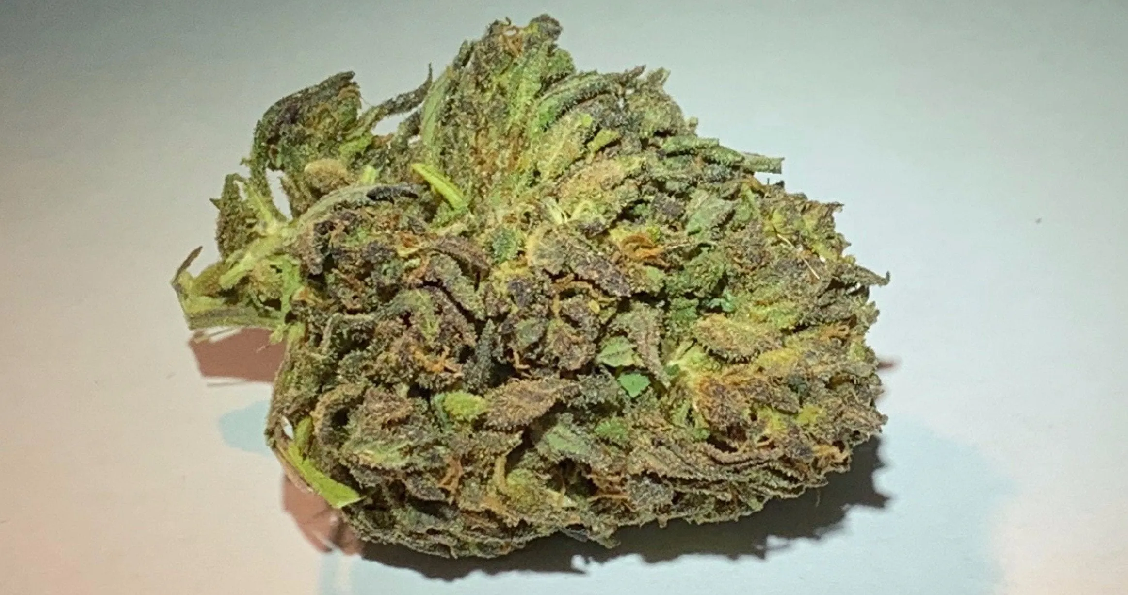 CHARLOTTE CBD HEMP FLOWER | SUVER HAZE