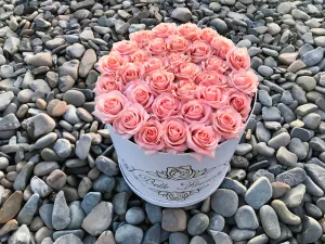 Classic Peach Roses - White Box