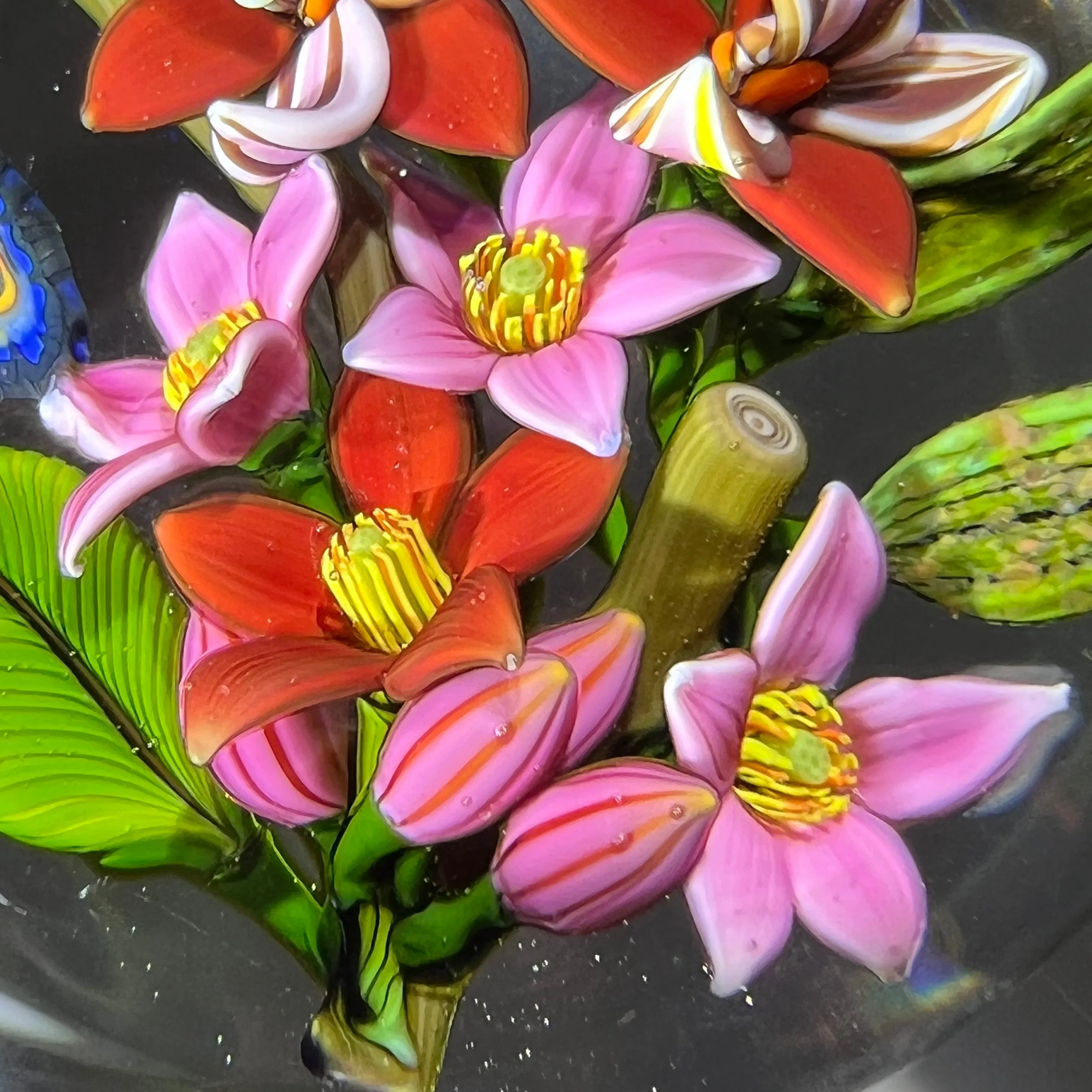 Colin Richardson 2018 Glass Art Paperweight Flamework Rainbow Butterfly with Orchids and Tropical Flowers 1 of 1