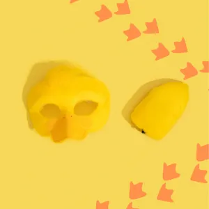 Deluxe Animal Set - Duck