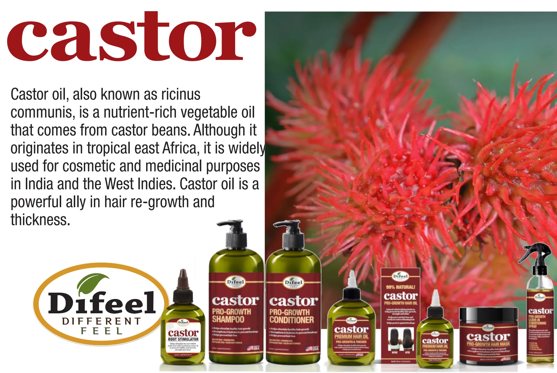Difeel Castor Pro-Growth Hair Care Gift Set: Castor Shampoo 12 oz, Conditioner 12 oz., Hair Mask 12 oz. & Hair Oil 2.5 oz.