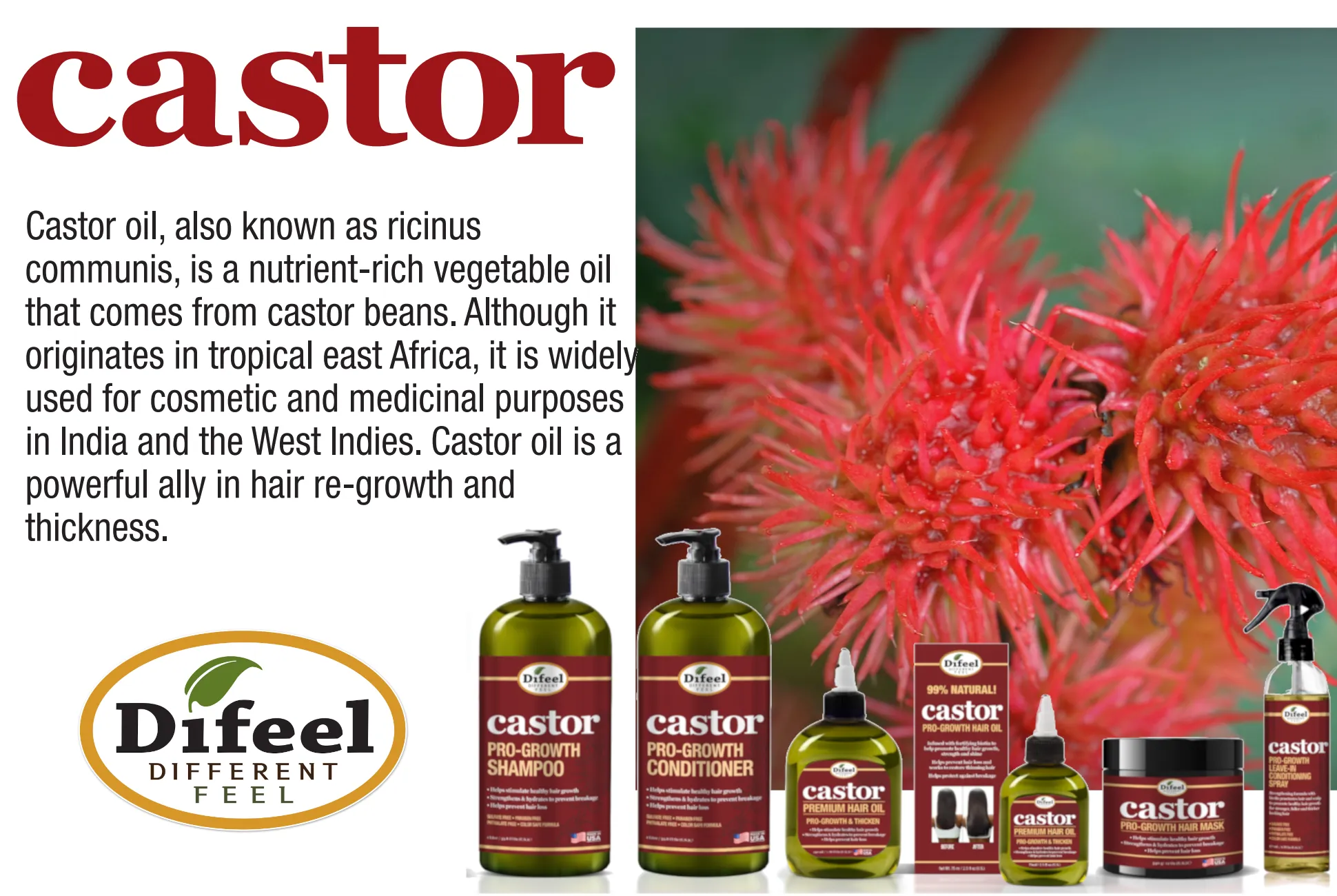 Difeel Castor Pro-Growth Shampoo 33 oz.