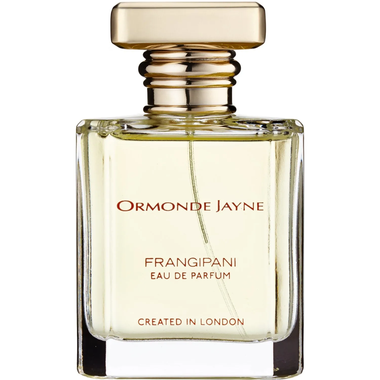 Frangipani