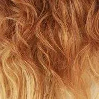 Freetress Equal Synthetic Wig - ERICA