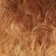 Freetress Equal Synthetic Wig - ERICA