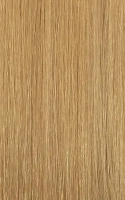 GARDENIA Mastermix Straight Weave 24" by MODEL MODEL