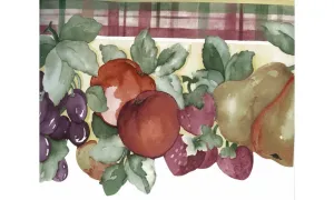 Green Pink Tropical Fruits KS74365 Wallpaper Border