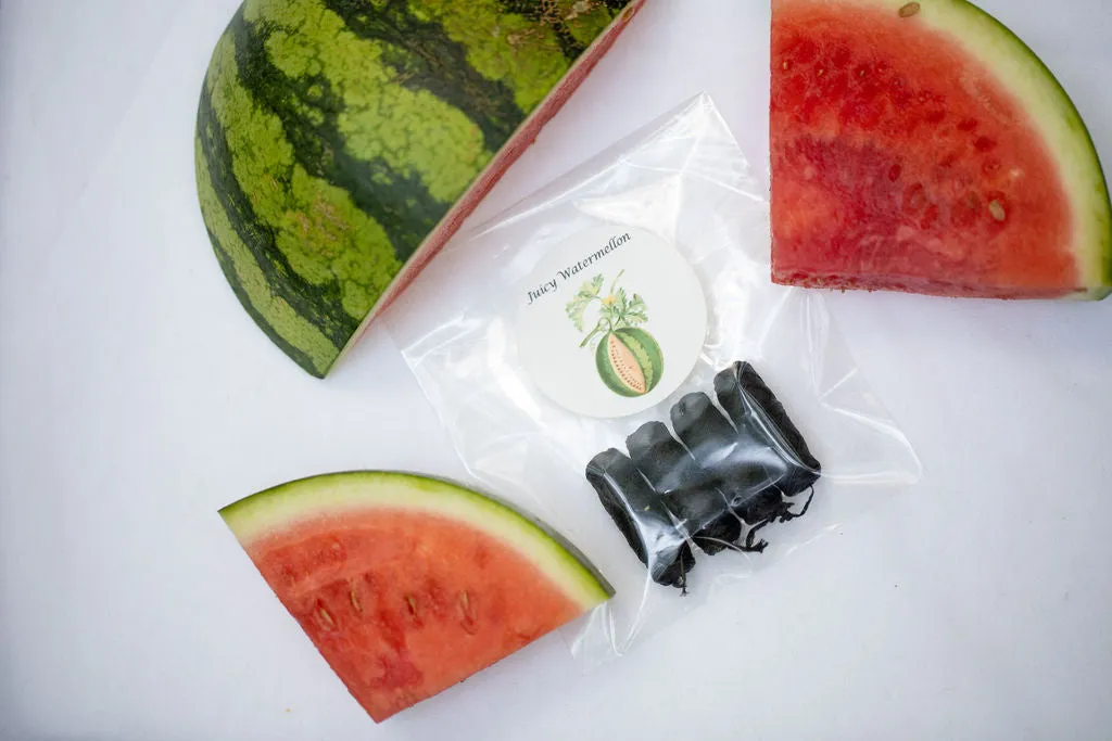 Juicy Watermelon No Knot Floss refills 4-pack
