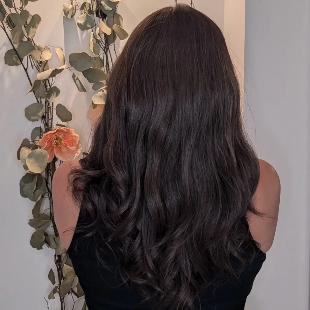 Lace Front Luxury Synthetic Wig | 14"/20" Inch Dark Brown