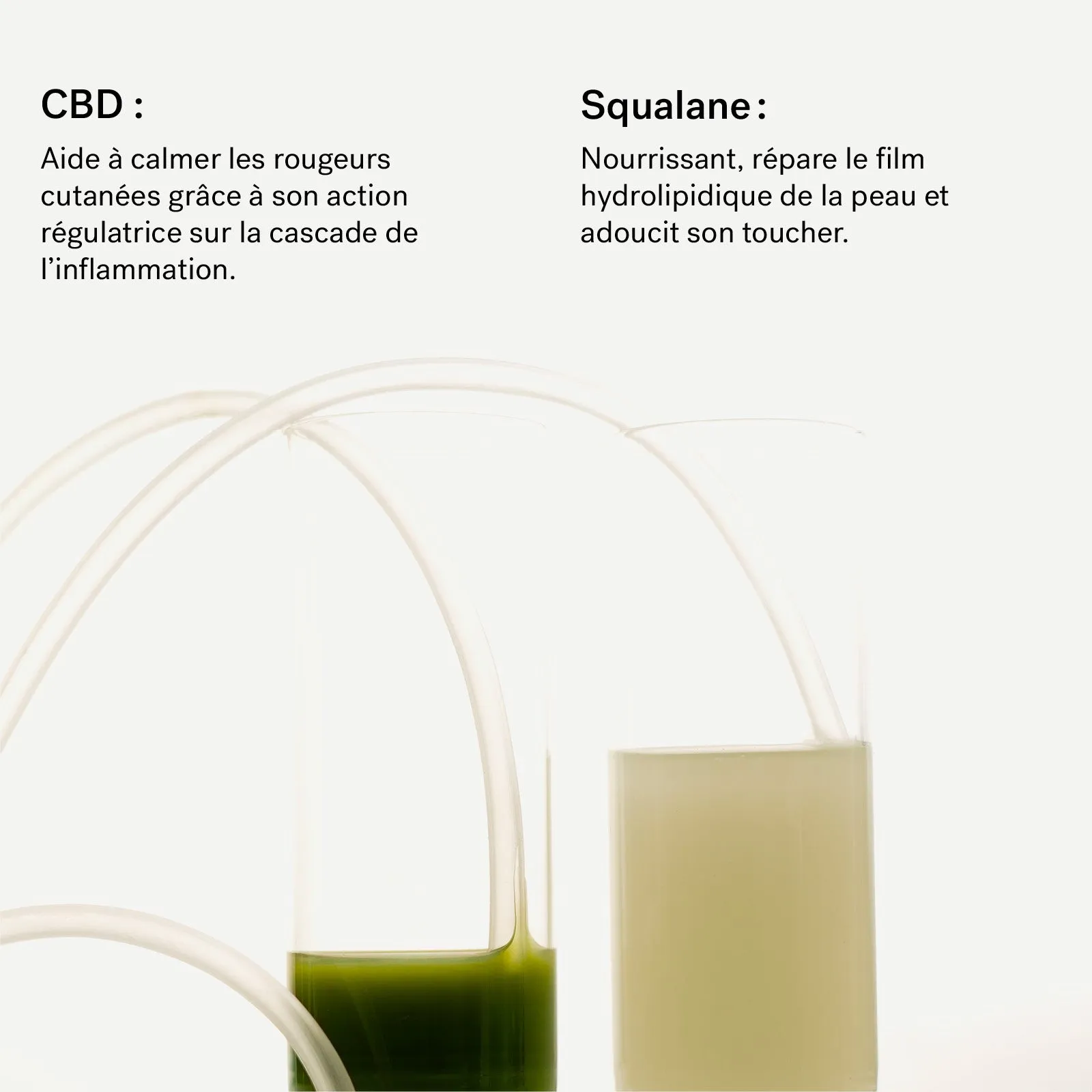 Masque-pommade peaux sensibles | au CBD 240 mg