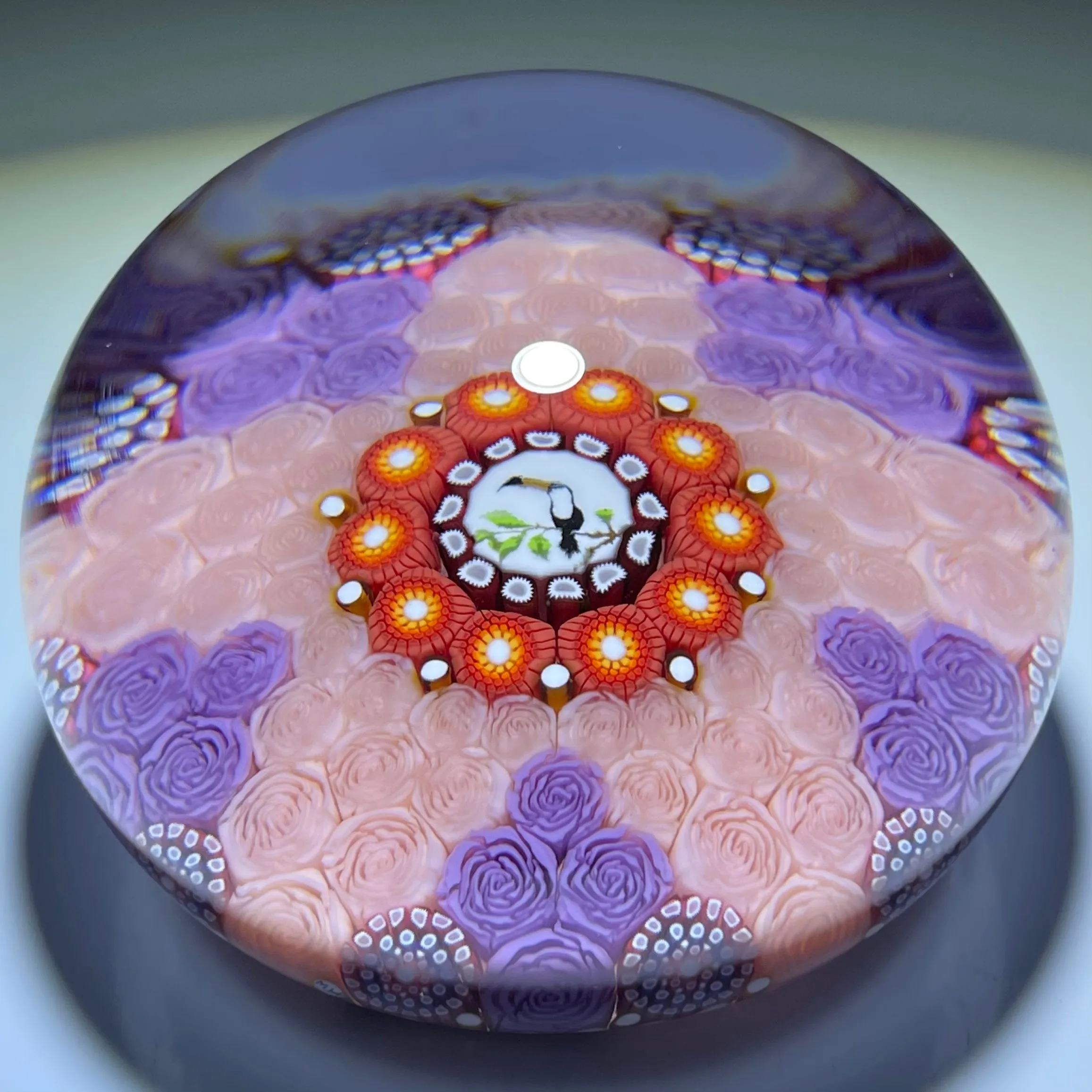 Michael Hunter 2021 Patterned Pink & Purple Rose Carpet Ground with Toucan Picture Murrine