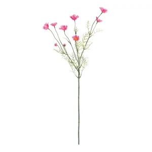 Napa Home Garden, COSMOS STEM 25" DK PK,gp285pkd