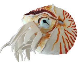 Nautilus Plush 12" Collectible Fossil Stuffed Animal