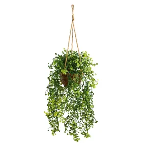Nearly Natural 20in. Baby Tear Artificial Plant in Hanging