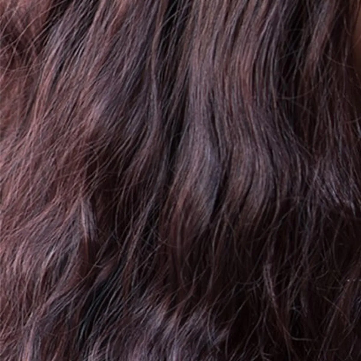 Neodoll Allure Wig - Areli - Sex Doll Hair - Brown