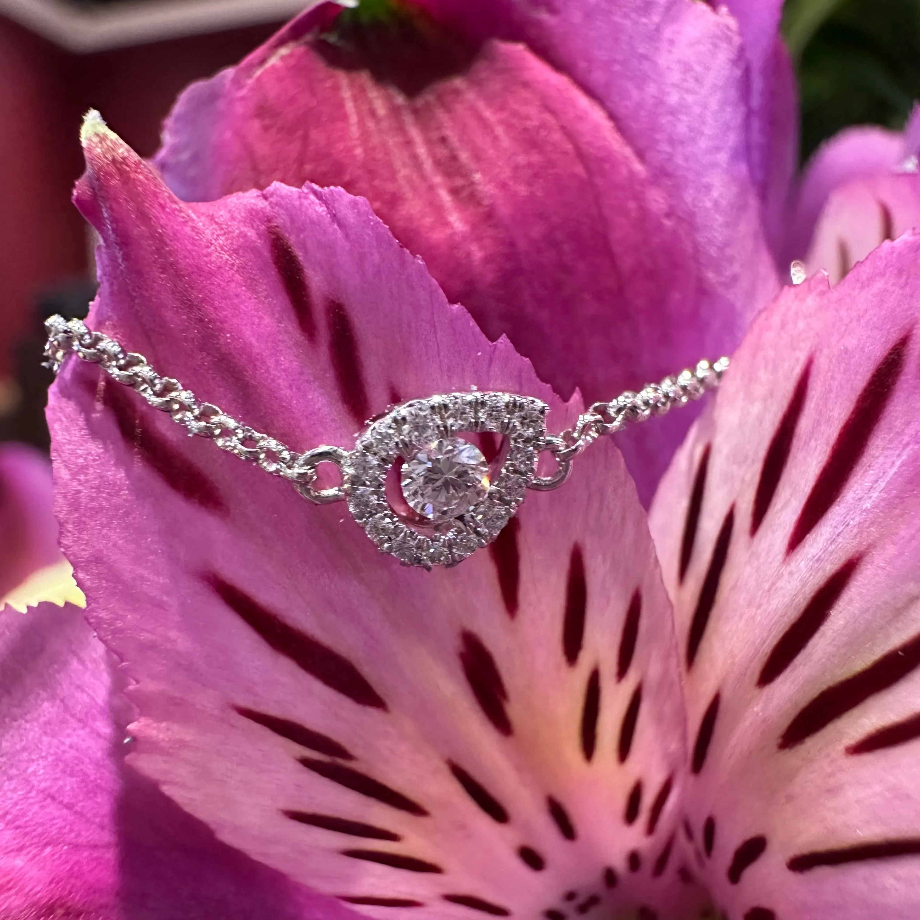 Pear Halo Diamond 14K White Gold Bracelet KAS B4491WG