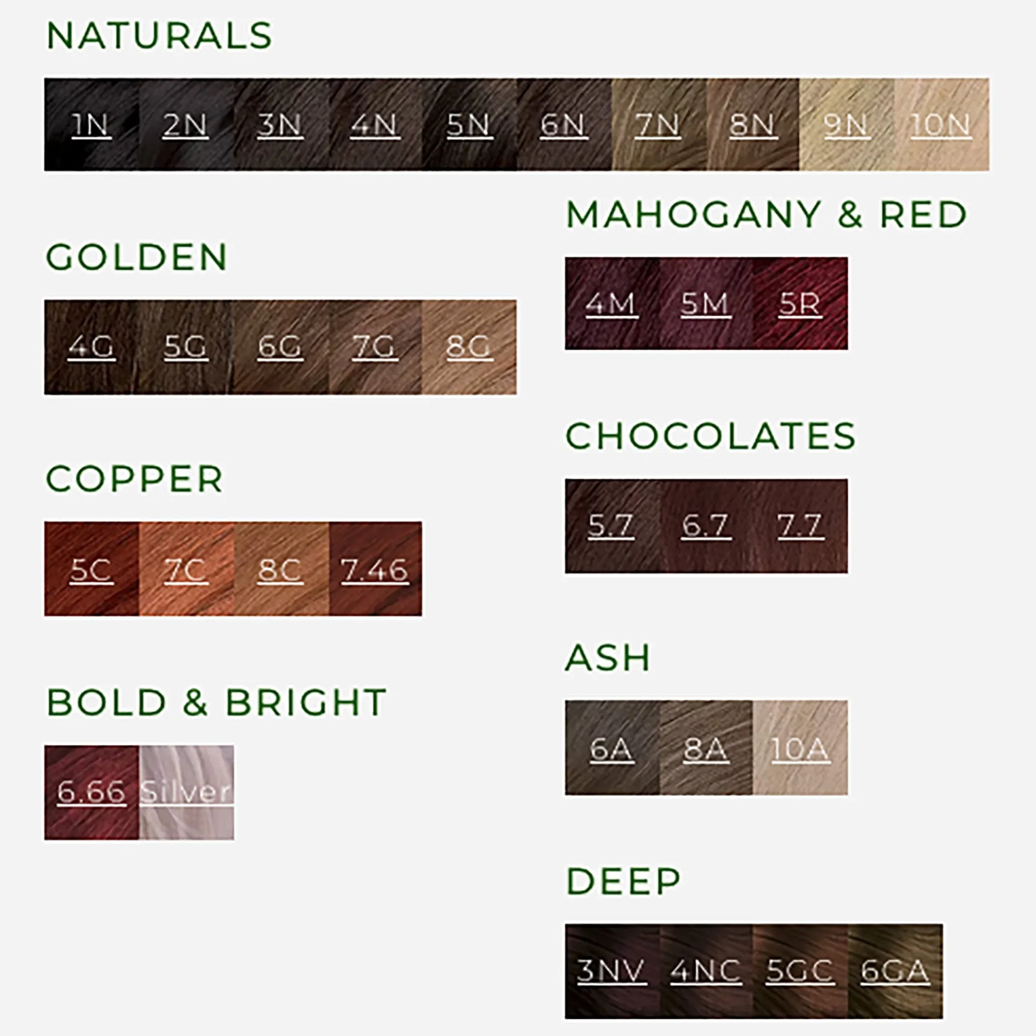 Permanent Hair Colorant
