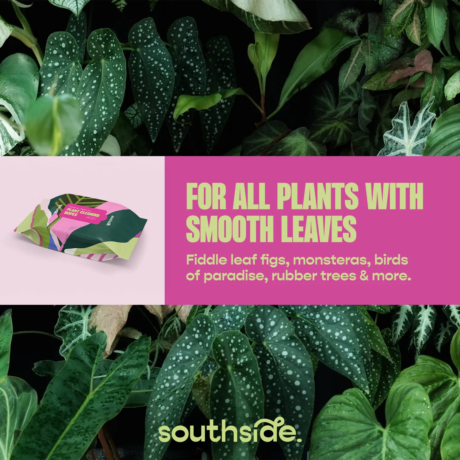 Plant Wipes