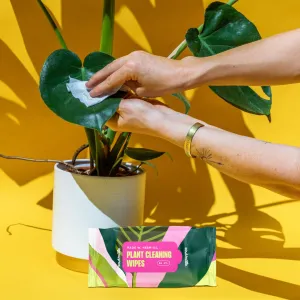 Plant Wipes