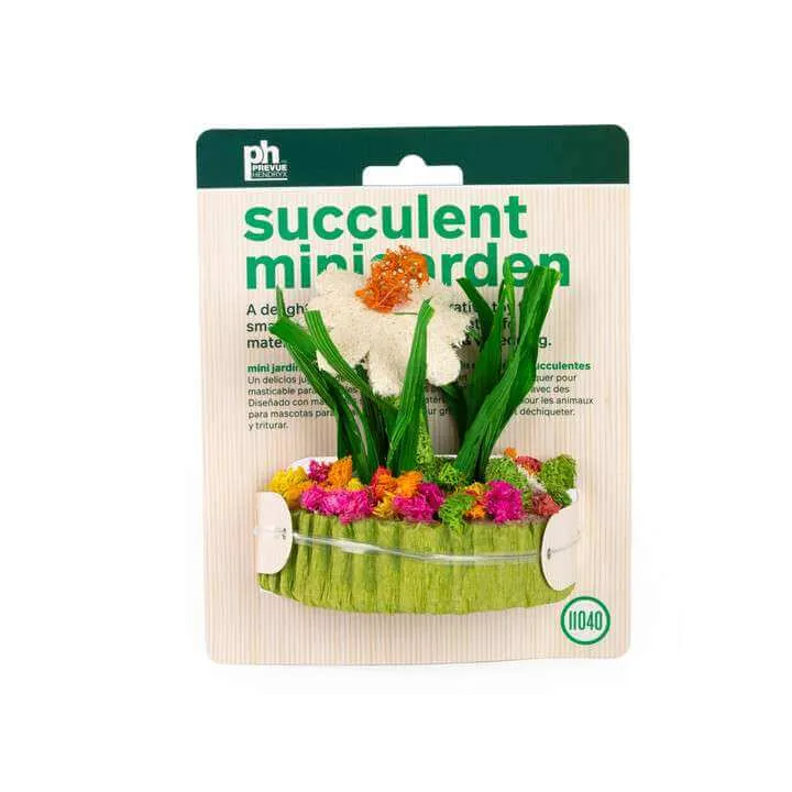 Prevue Pet Succulent Mini Garden