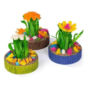 Prevue Pet Succulent Mini Garden
