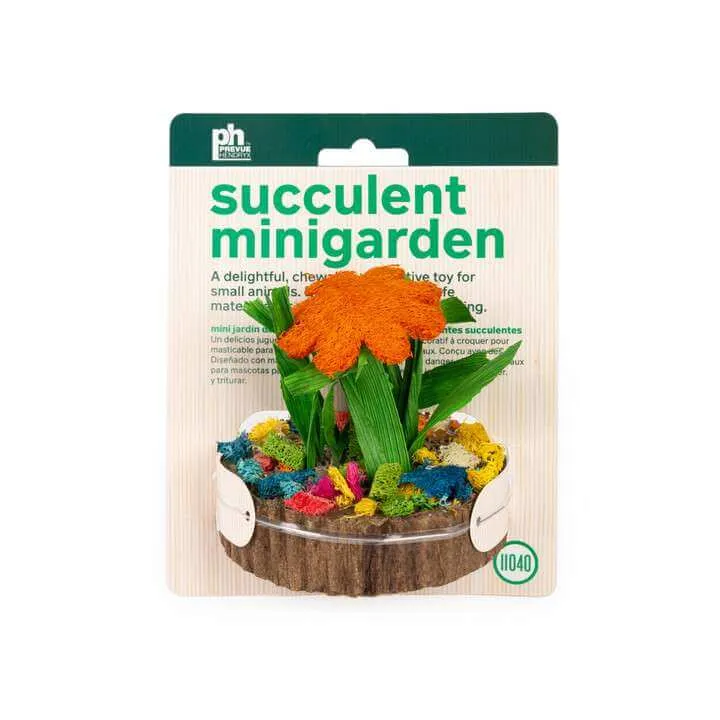 Prevue Pet Succulent Mini Garden