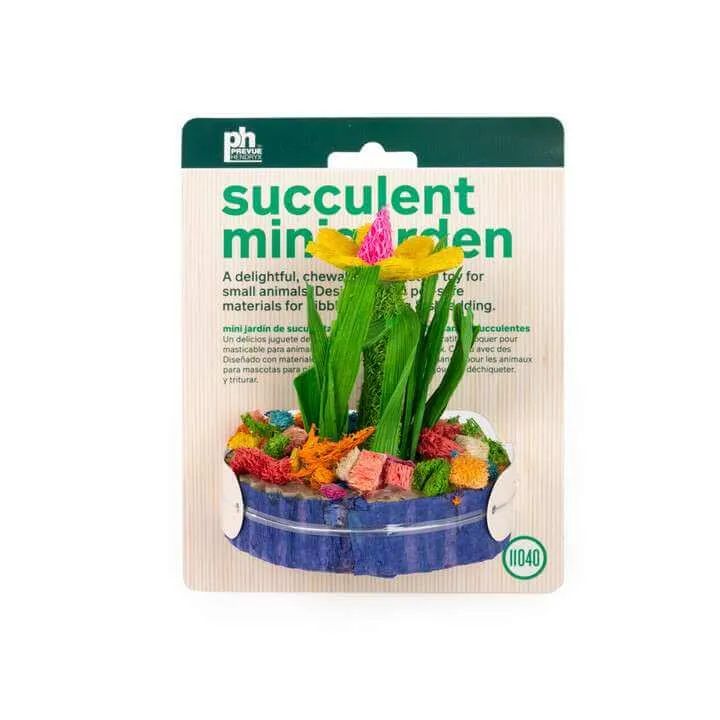 Prevue Pet Succulent Mini Garden