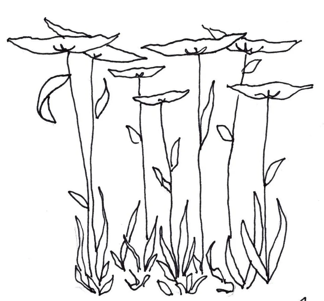 Queen Ann's Lace digitized embroidery
