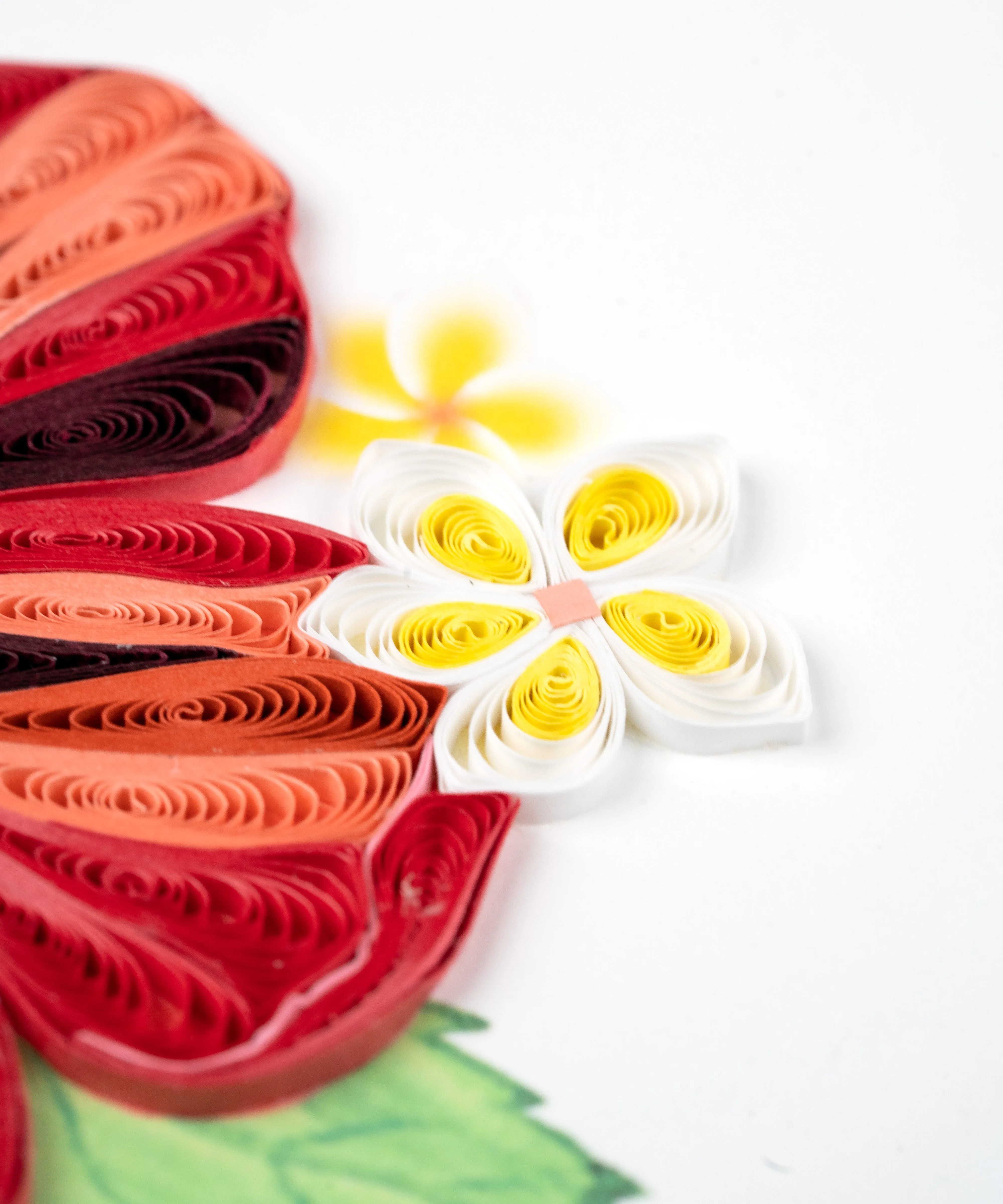 Quilled Hibiscus Greeting Card