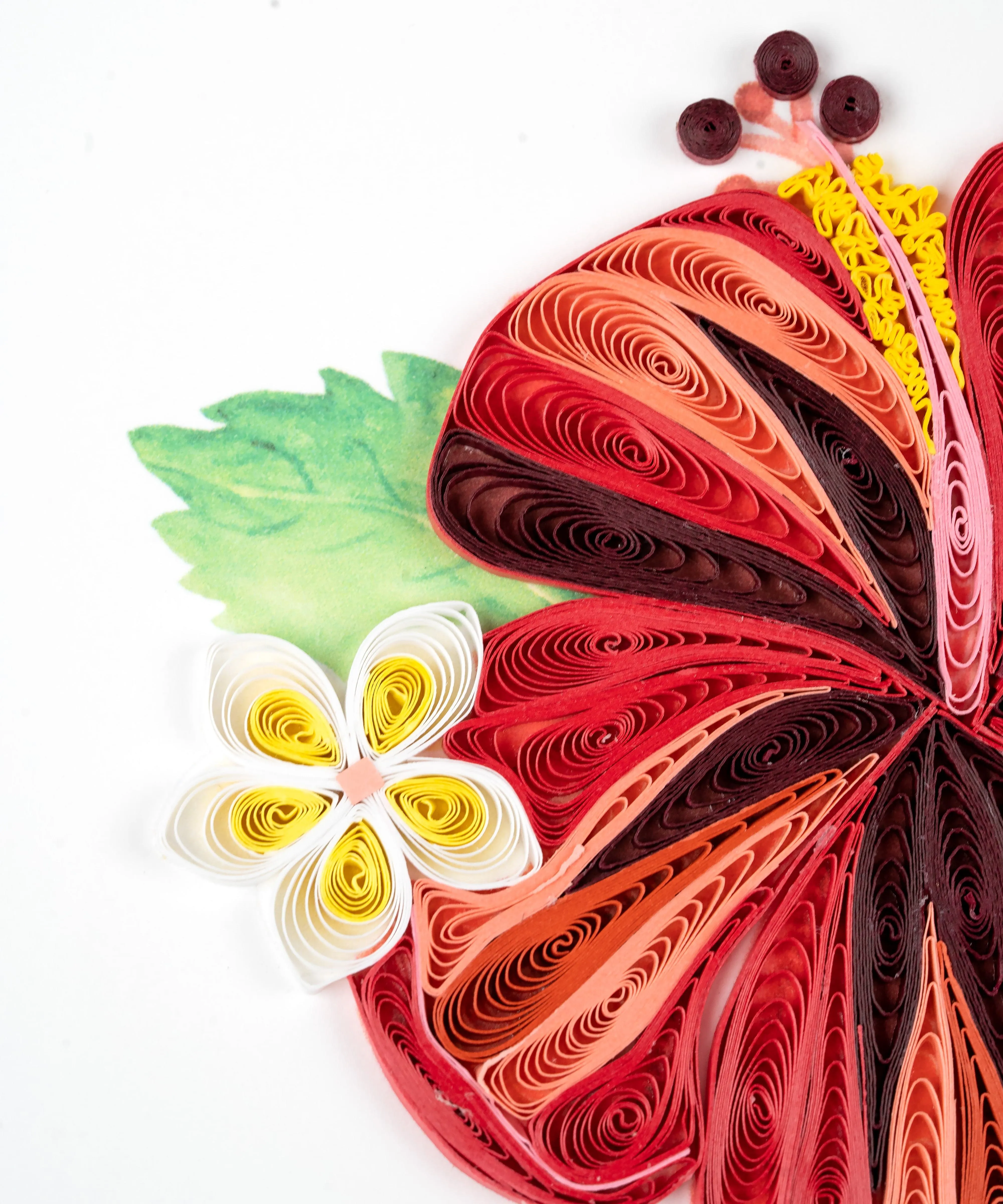 Quilled Hibiscus Greeting Card