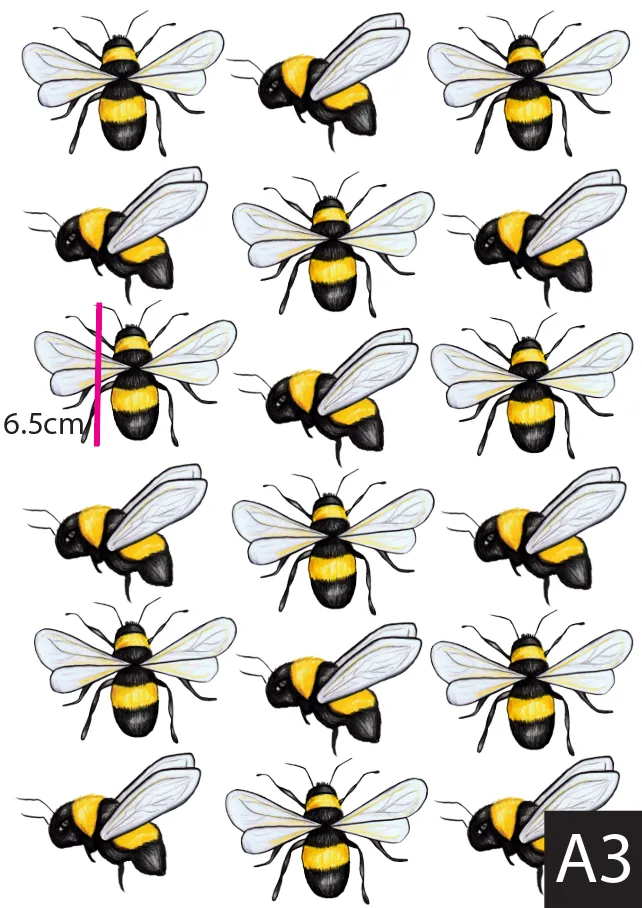 The Flowers & The Bees Australian Design Hand Painted Peel & Stick, Removable Wall Decal. Nursery, Kids Playroom, Kids Teens Bedroom