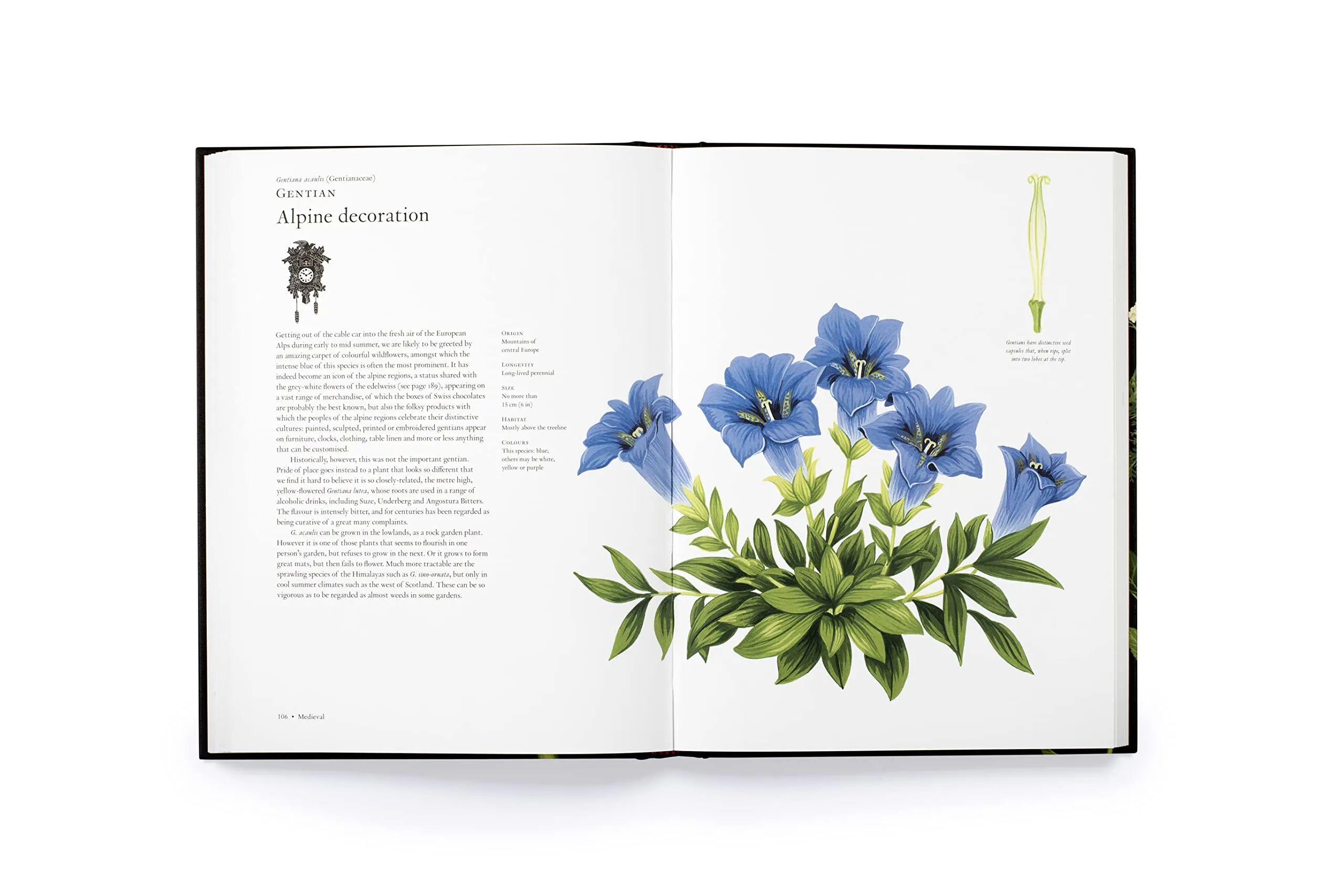 The Story of Flowers