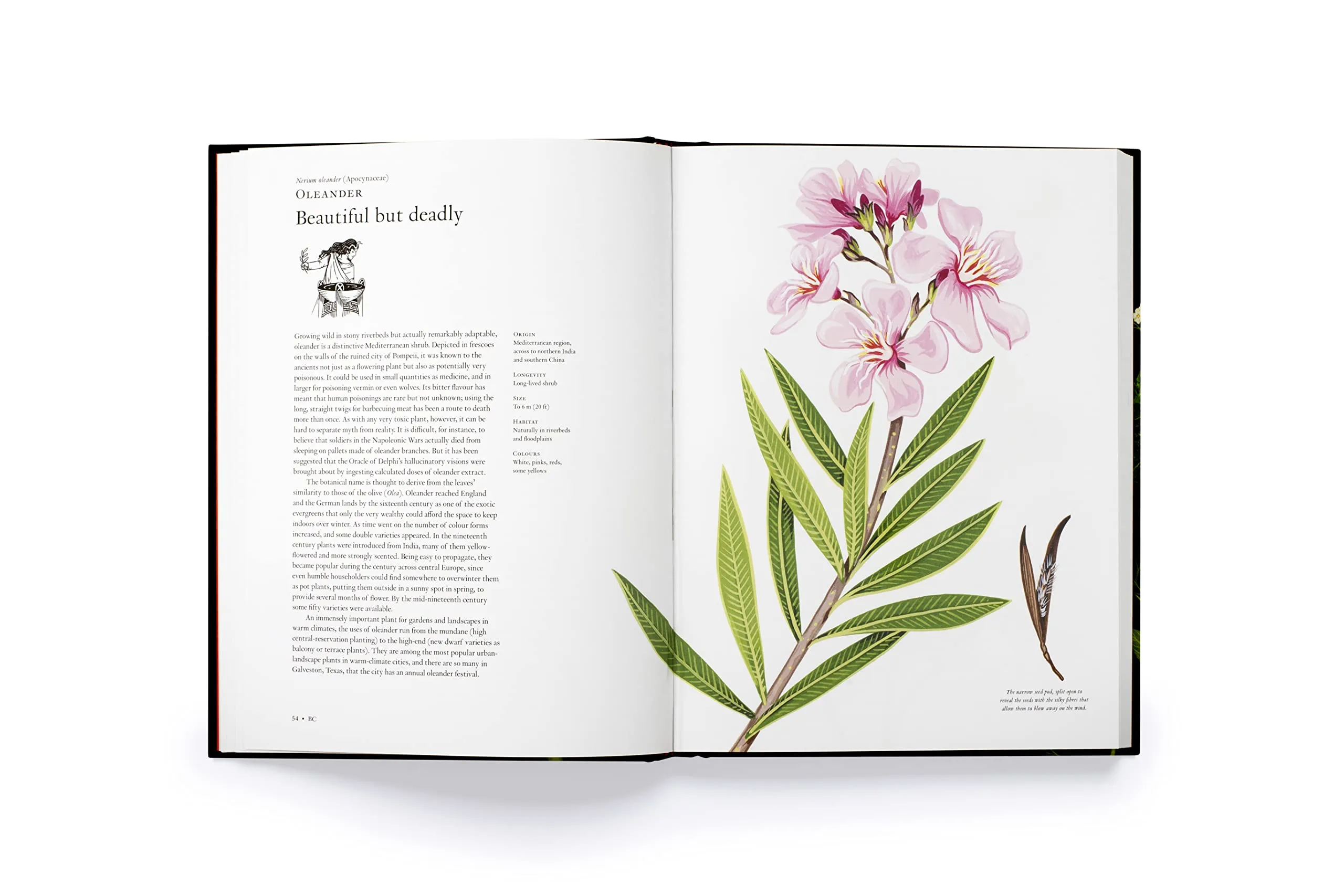 The Story of Flowers