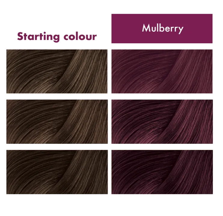 Umberto Giannini - Flowerology - Masque colorant temporaire "mulberry"  - 200ml