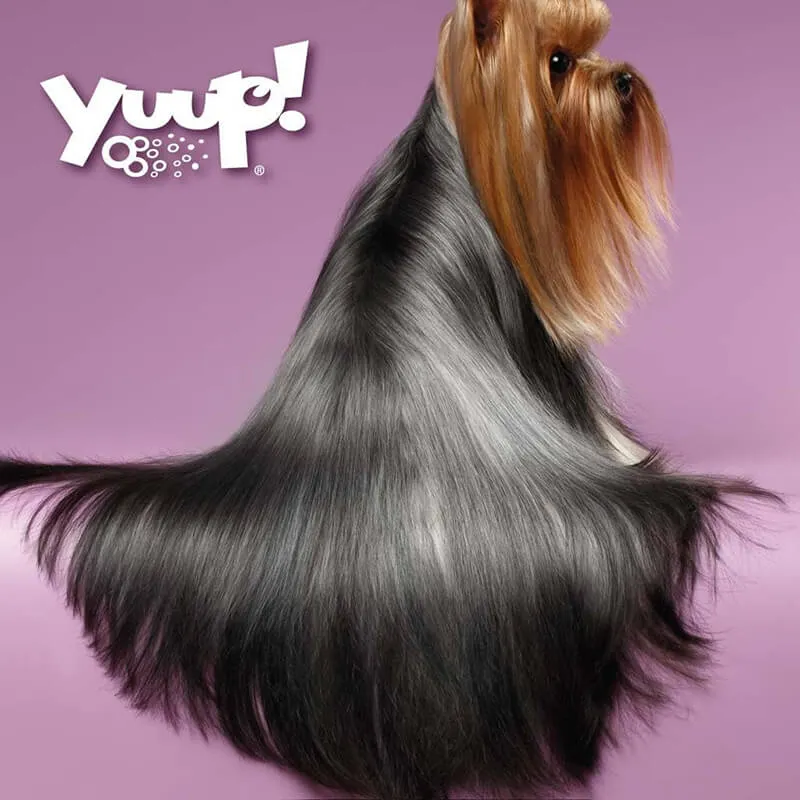 Yuup! Datangling Conditioner